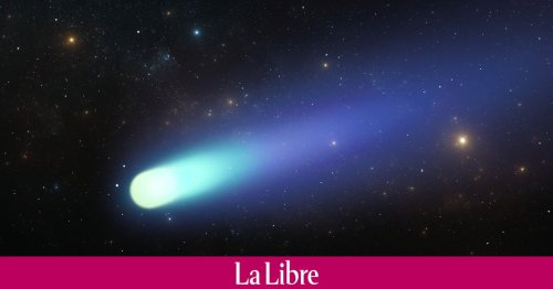Une comète sera visible dans le ciel belge le 1er février : elle passe près de la Terre tous les 50 000 ans