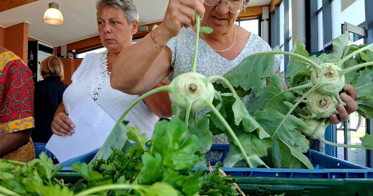 Les légumes bio du Jardin d&rsquo;à côté ne font pas que remplir les estomacs : ils permettent aux familles plus précaires de se nourrir sainement