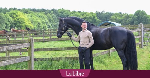 Equitation: voici le nouveau prodige du dressage en Belgique