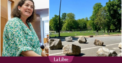 Des rochers sur le sol du bois de la Cambre : "C'est problématique et quel manque d'ambition"