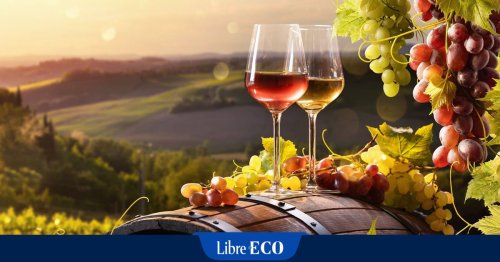 ”Nous offrons un bon rapport qualité/prix sur les vins belges”