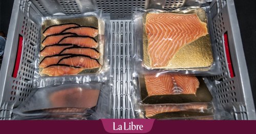Pourquoi le saumon, "poulet de la mer", est en pleine déchéance gastronomique
