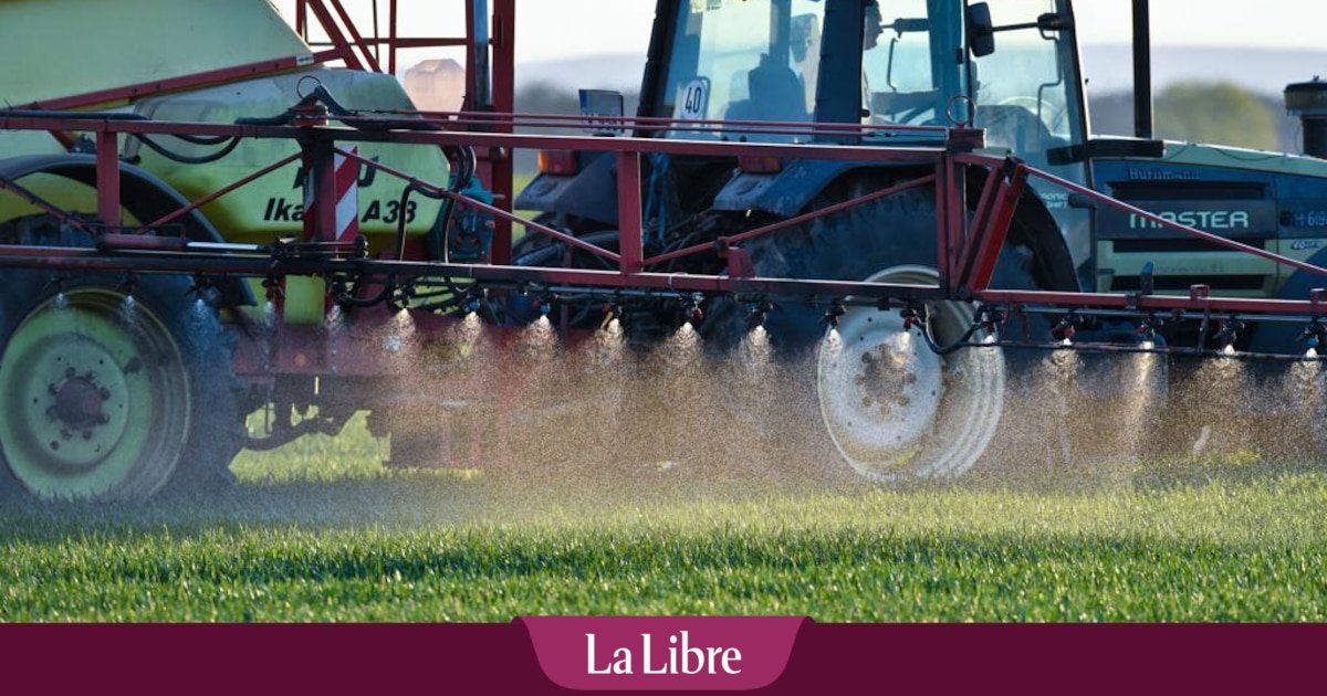 Les agriculteurs wallons répandent de plus en plus de pesticides Pfas dans leurs champs. Malgré « les risques considérables », selon les scientifiques