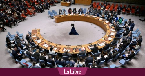 Demande d’adhésion de la Palestine à l’ONU : les Etats-Unis mettent leur veto