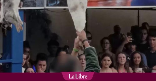 Des animaux morts, décapités à mains nues : une association dénonce la tradition du jeu “du cou de l’oie” en France, un maire se défend (VIDÉO)