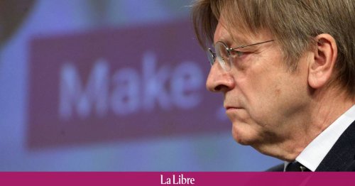 Guy Verhofstadt revient sur les tensions entre Macron et Jadot : "Nos collègues français sont obsédés par l'élection présidentielle"