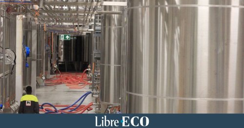 Delhaize inaugure son nouveau chai à Asse, "la plus grande usine de mise en bouteille de vin du Benelux"