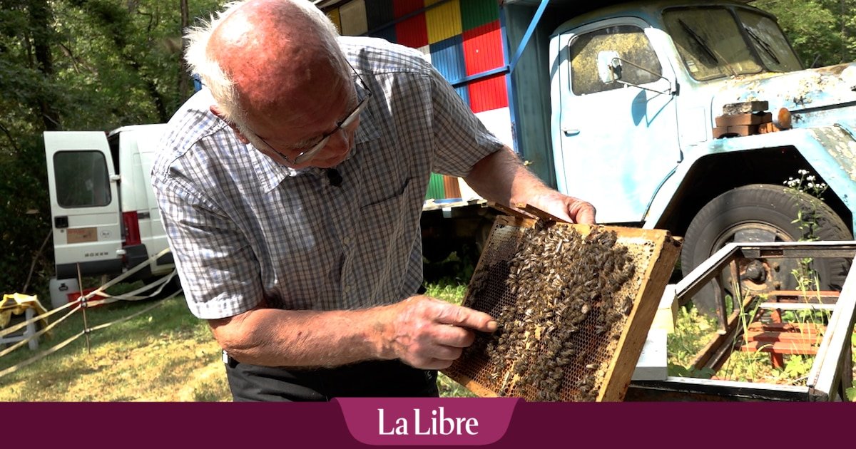 En Slovénie, les abeilles ont vaincu les pesticides : « Les néonicotinoïdes étaient partout »