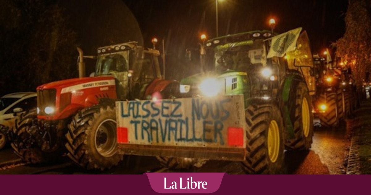 La Belgique doit dire « non » au traité UE-Mercosur