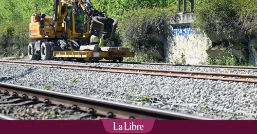 Le trafic ferroviaire en direction de l'Allemagne interrompu en raison d'un vol de câbles
