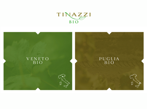 Una linea di vini biologici dedicata all’export: la svolta di Tinazzi - La Madia