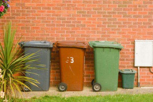 Reddit users debate how early is too early to put your bin out on bin day