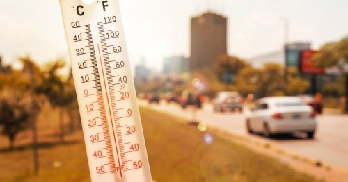 African Plume to 'bring back heatwave' in two weeks