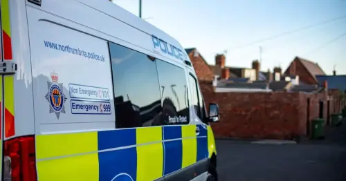 Newcastle hit and run leaves 15-year-old with head injuries as police appeal for witnesses