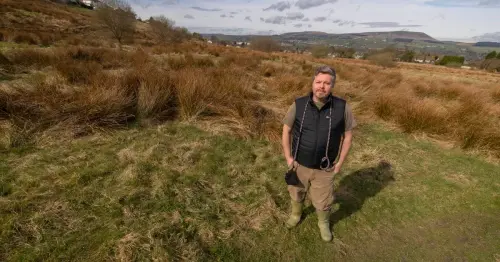 Residents fighting plans for 'ludicrous' cemetery in woodland call for councillors to resign