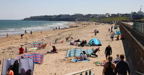 Full list of North East beaches that have won Blue Flag awards including in Northumberland and North Tyneside