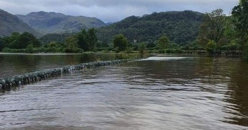 No warning as Lake District farm overwhelmed with flash flooding causing death of 60 sheep