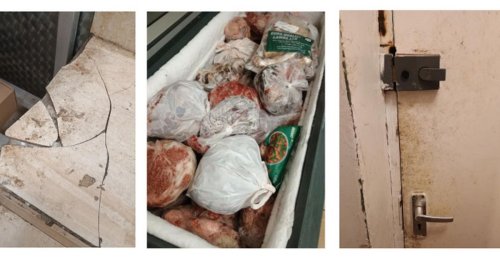 Rats found near Newcastle butchers that stored meat in disintegrating carrier bags