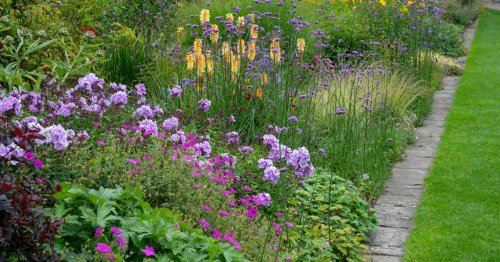 Simple BBC Gardeners' World hack to fill bare patches in your garden for just £5