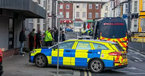 Armed police seize XL bully after woman injured in Blackpool dog attack