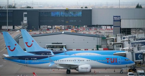 TUI forced to apologise after flight cancellations cause half term chaos