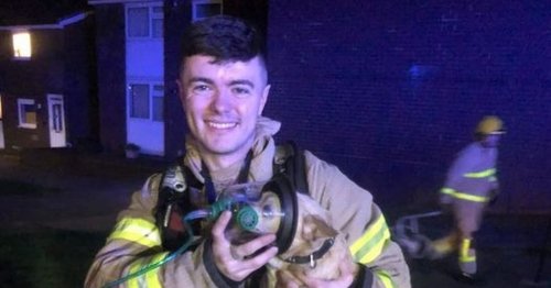Brave fire crews rescue plucky little pooch from house blaze in Hyndburn