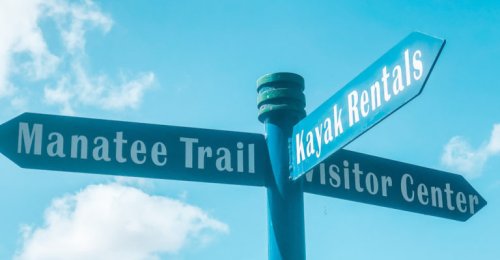 A Leisurely Stroll Around Lee County Manatee Park In Fort Myers, Florida