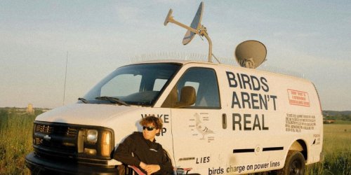 "Les oiseaux ne sont pas réels", la fausse théorie du complot qui se moque de la désinformation sur Internet