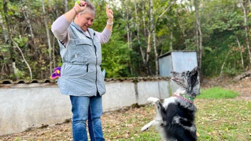 Concours d’obéissance canine : Ingrid et sa chienne Métisse font briller Issoudun