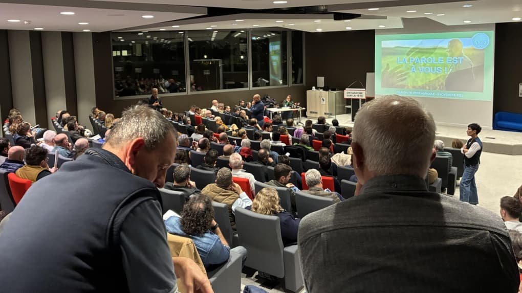 « On n’a pas de vie » : le mal-être agricole s’exprime à Châteauroux