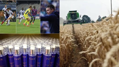 Match arrangé, Pier Augé et aides Pac : les trois actualités du mardi 20 mai dans l’Indre