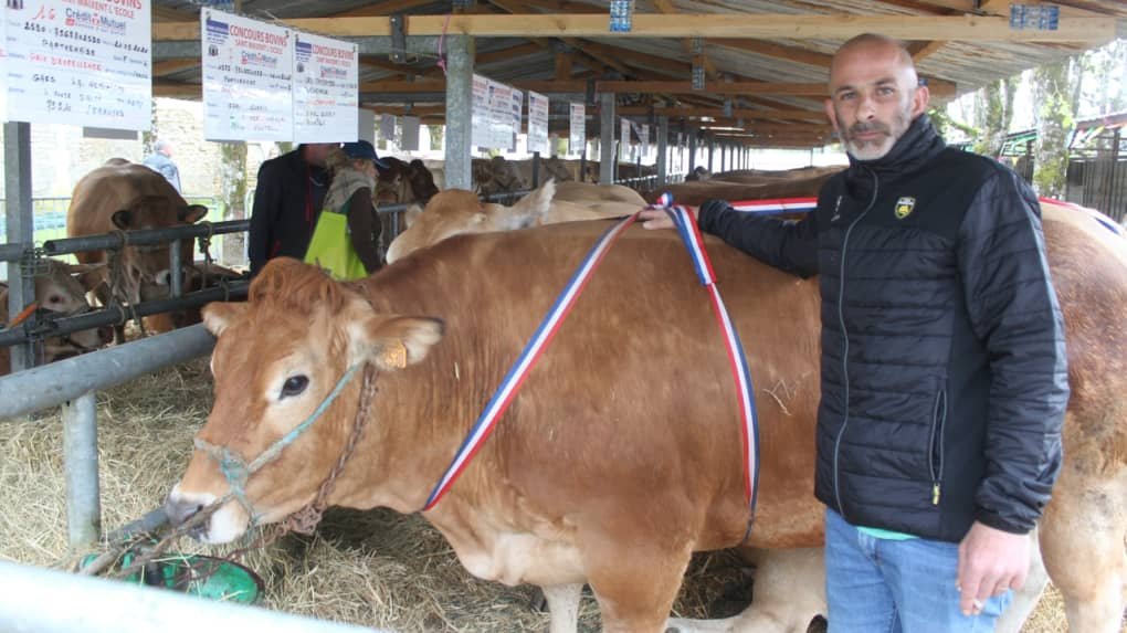 Foire-exposition de Saint-Maixent-l’École : la parthenaise du Gaec La Réminière primée au concours bovin