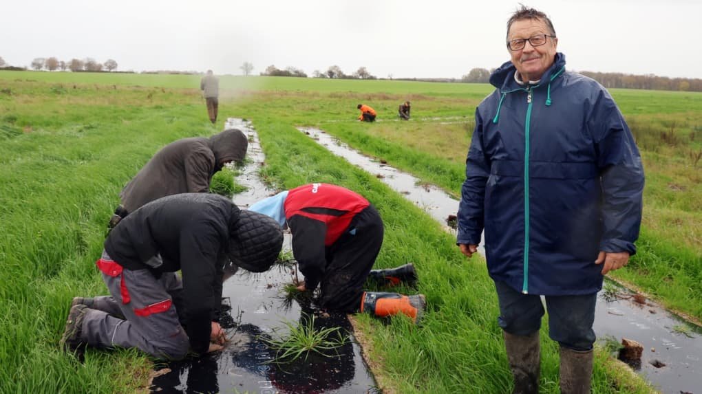 « C’était quand même une connerie à l’époque » : un agriculteur retraité du Sud-Touraine replante les haies qu’il avait arrachées