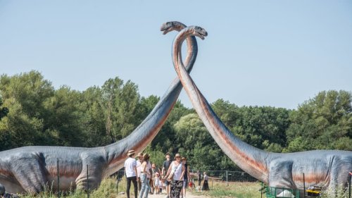 Selles-sur-Cher : sitôt ouvert, le parc des dinosaures Dashanpu ferme déjà ses portes