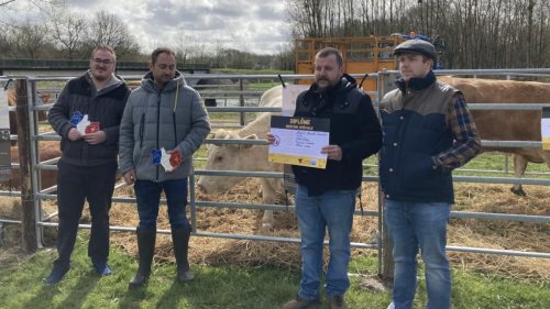 Loir-et-Cher : la foire aux bestiaux de Pruniers met les éleveurs à l’honneur