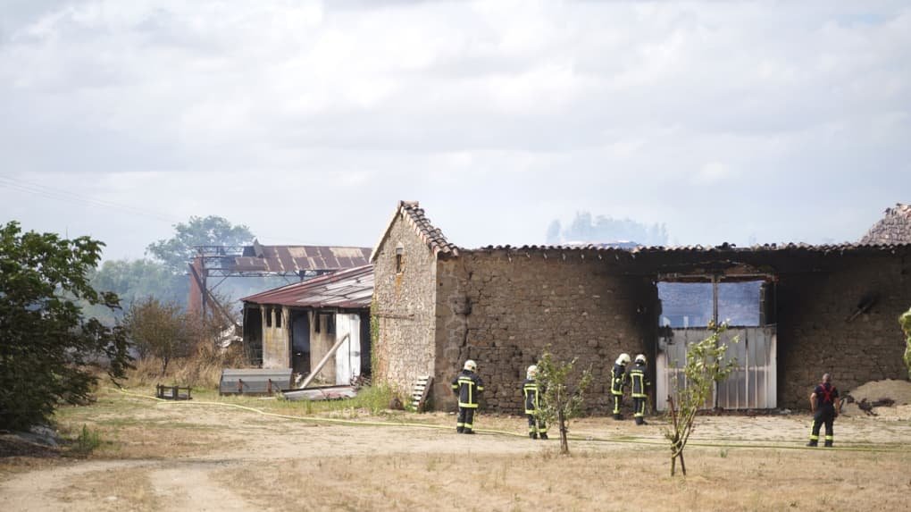 Incendie à Bressuire : deux hangars agricoles et quatre hectares ravagés par les flammes