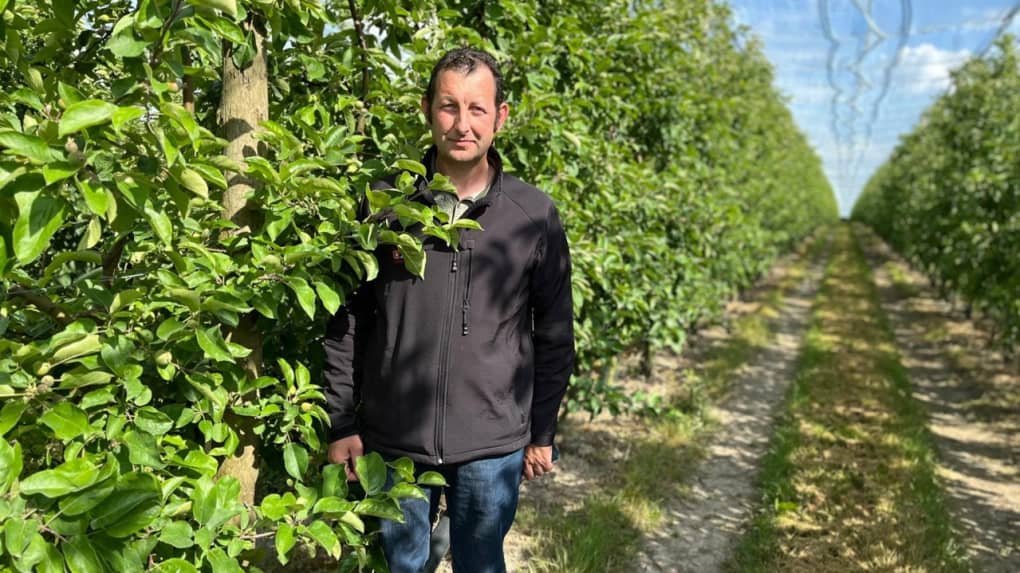 En Indre-et-Loire, un arboriculteur défend la loi de simplification : « Vous pensez que je vais saboter la terre que mes enfants reprendront un jour ? »