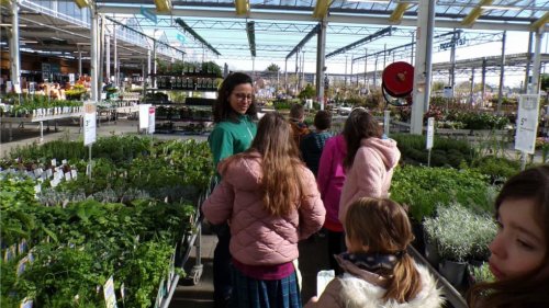 Saint-Gervais-la-Forêt : les écoliers initiés au jardinage