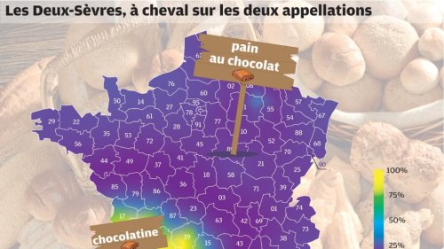 Deux-Sèvres : pain au chocolat au nord et chocolatine au sud