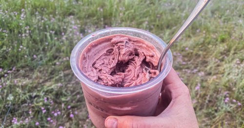 10 Ninja Creami Ice Creams Recipes You'll Never Forget