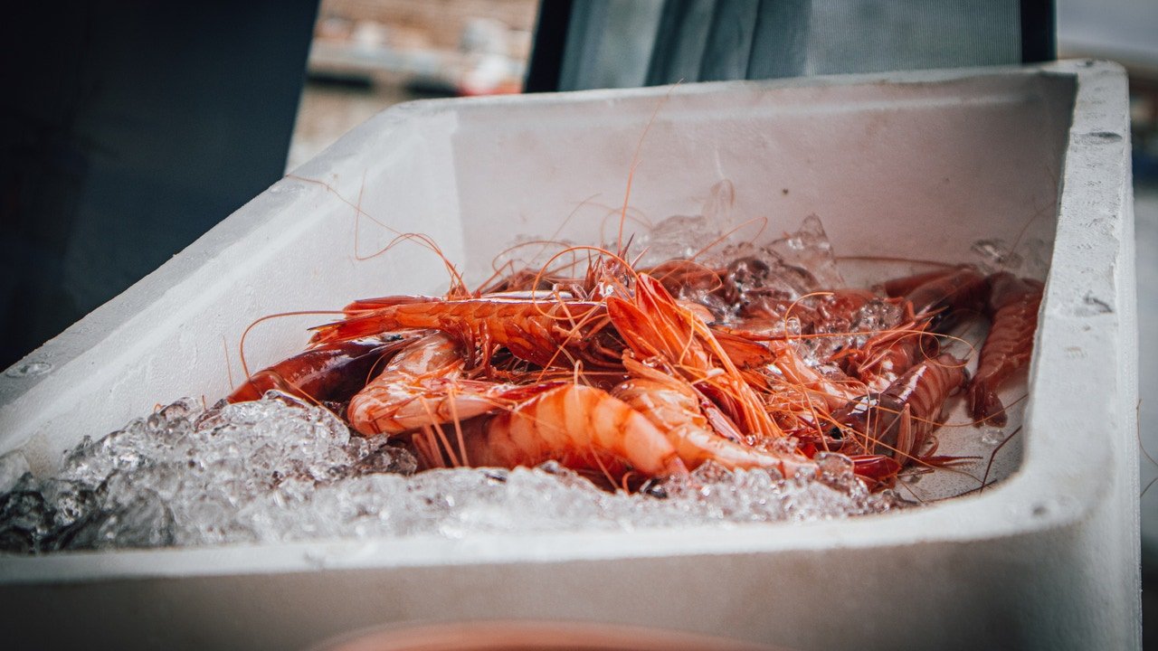 La llaman "la nueva capital de la gastronomía marinera" en Cataluña y puedes saborear sus platos muy pronto