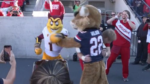 Arizona, Arizona State mascots get into fist fight during rivalry game