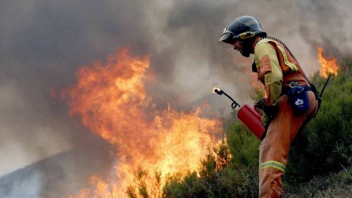 El régimen de incendios del continente europeo ha experimentado un cambio sin precedentes