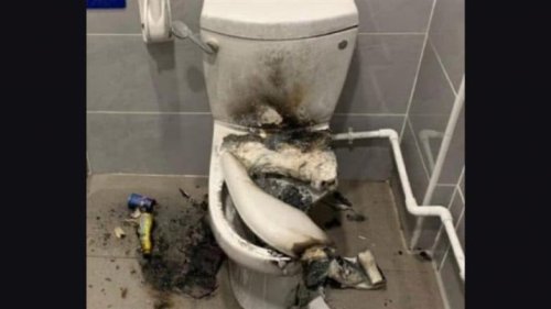 Noida: Man Suffers 35% Burn After Western Toilet Seat Explodes (See Pic)