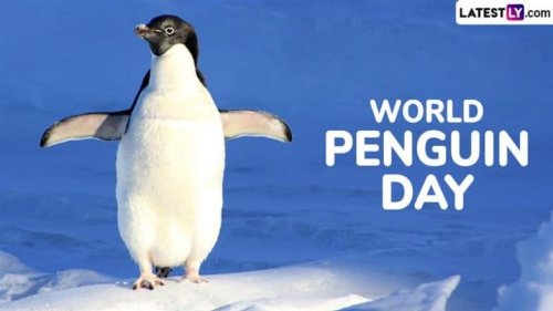 World Penguin Day 2025: From Pingu to Chilly Willy, Famous Penguins From the Pop Culture That Waddled Right Into Our Hearts (Watch Adorable Videos)
