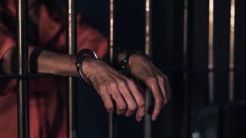 Crackdown on Cyber Criminals in India: 20 Cyber Fraudsters Involved in 515 Cases Nationwide Arrested