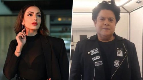 ‘Take Off Your Clothes’: ‘Ishqbaaz’ Actress Navina Bole Accuses Filmmaker Sajid Khan of Sexual Harassment, Recalls Casting Couch Incident