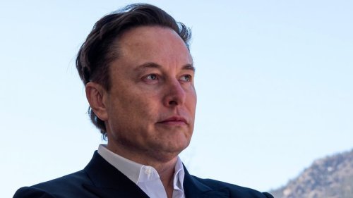 Indian-Americans Have Highest Median Household Income in US, Says Report; Elon Musk Responds