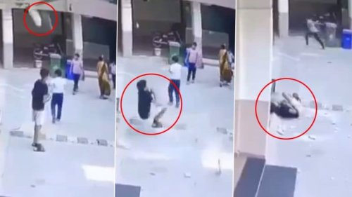 Pune: Minor Boy Dies on Spot After Flower Pot From Balcony Falls on His Head in Maharashtra, Disturbing Video Surfaces