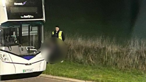 UK: Bus Driver Caught Receiving Oral Sex With His Pants Down on Roadside in Norfolk's Sprowston, Police Begin Probe After Photo Surfaces
